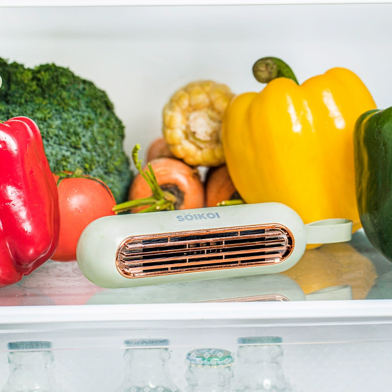 冰箱除味器