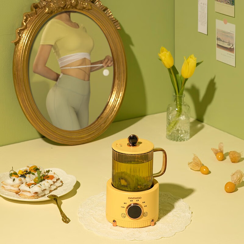 大宇（DAEWOO）迷你办公室家用多功能养生杯